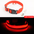 USB Charging Led Dog Collar - Avoid Car Accident For Puppies