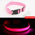 USB Charging Led Dog Collar - Avoid Car Accident For Puppies