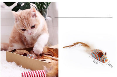 Funny Cat Hemp Rope Feather Toy Set