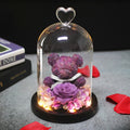 Rose Teddy Beer In Glass Dome