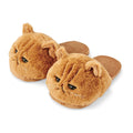 cats slippers