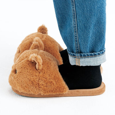 cats slippers