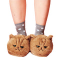 cats slippers