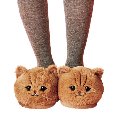 cats slippers