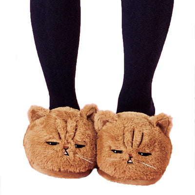 cats slippers