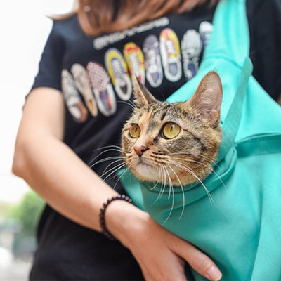 cat carry bag