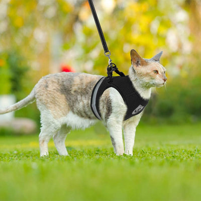 Breathable Adjustable Pet Reflective Chest Strap