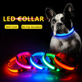 USB Charging Led Dog Collar - Avoid Car Accident  For Puppies