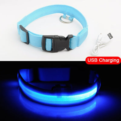 USB Charging Led Dog Collar - Avoid Car Accident  For Puppies