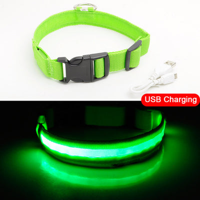 USB Charging Led Dog Collar - Avoid Car Accident  For Puppies