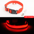 USB Charging Led Dog Collar - Avoid Car Accident  For Puppies