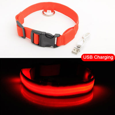 USB Charging Led Dog Collar - Avoid Car Accident  For Puppies