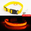 USB Charging Led Dog Collar - Avoid Car Accident  For Puppies